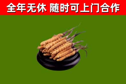 乌翠烟酒回收冬虫夏草.jpg
