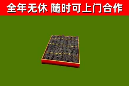 乌翠回收海参